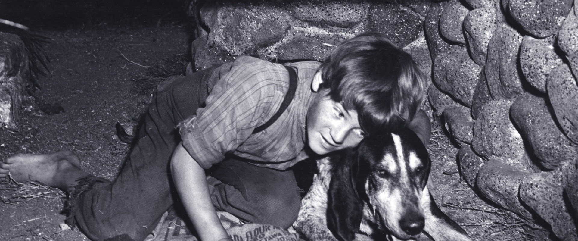 A Boy and His Dog backdrop
