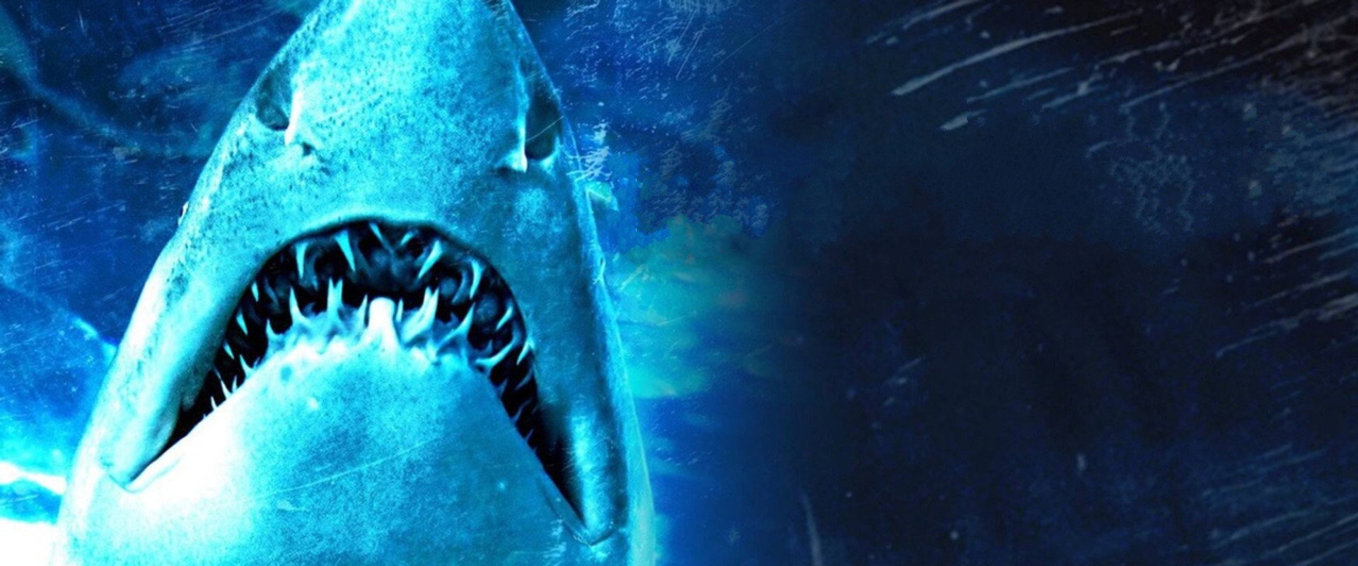 Dam Sharks! backdrop