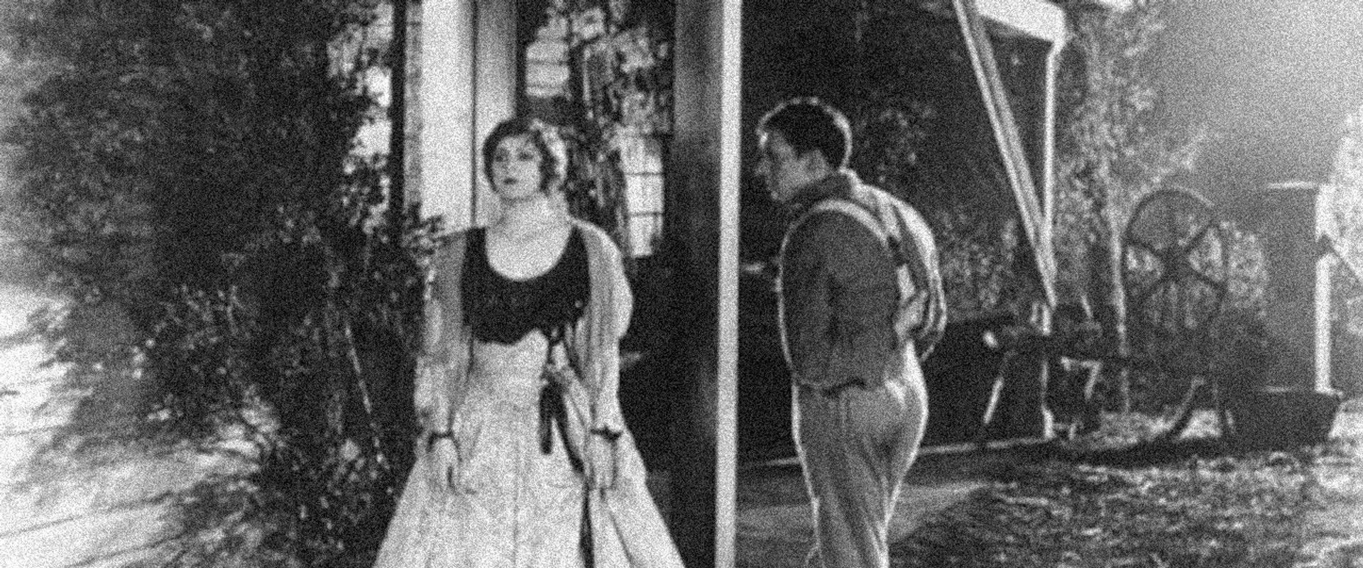 The Fighting Brothers backdrop