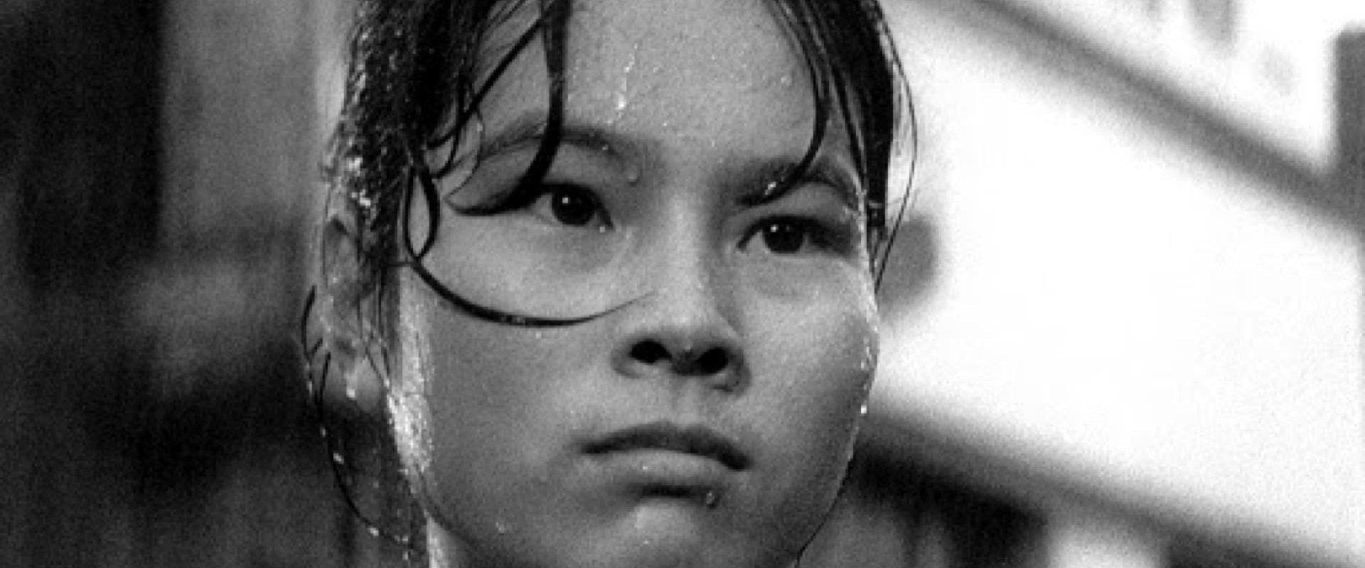 Pigs and Battleships backdrop