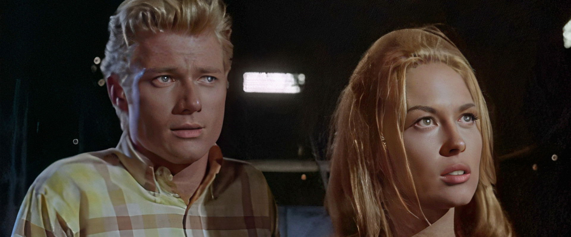 The Happening backdrop