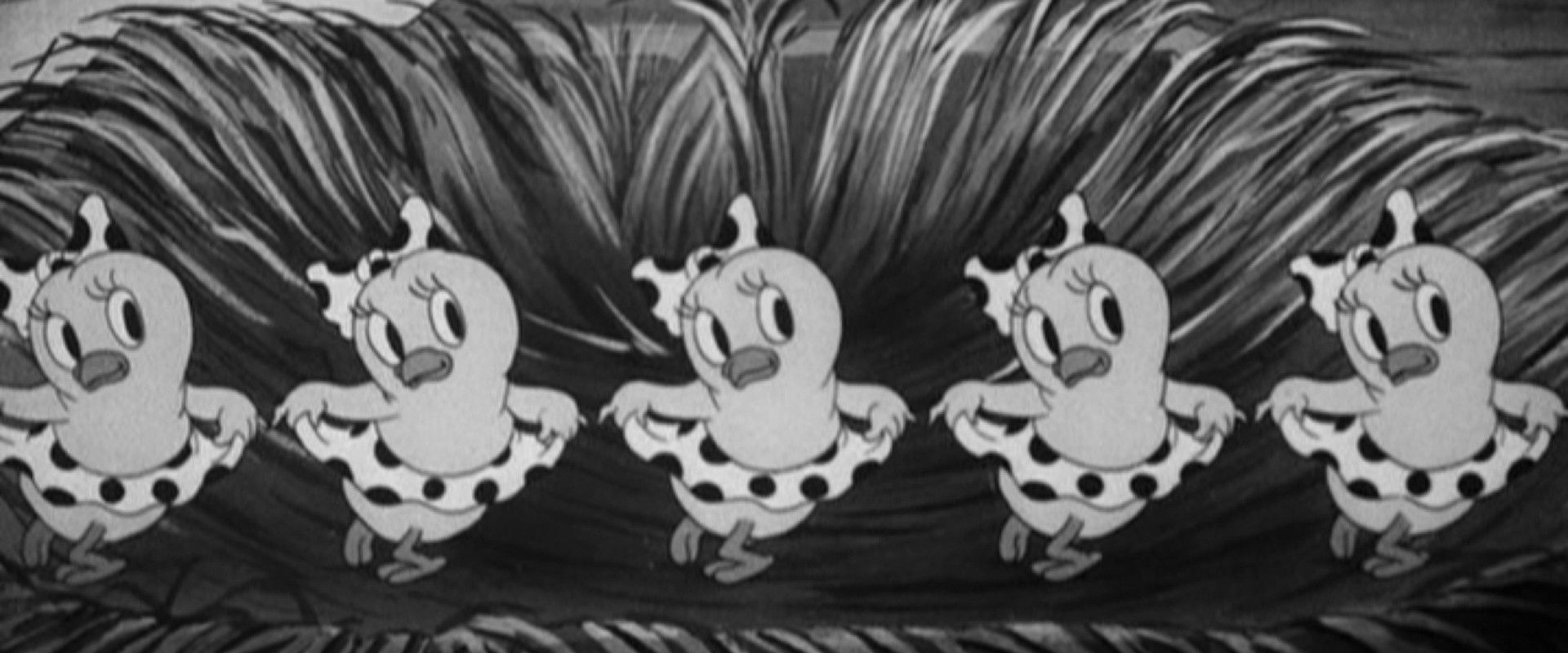 Slap Happy Pappy backdrop