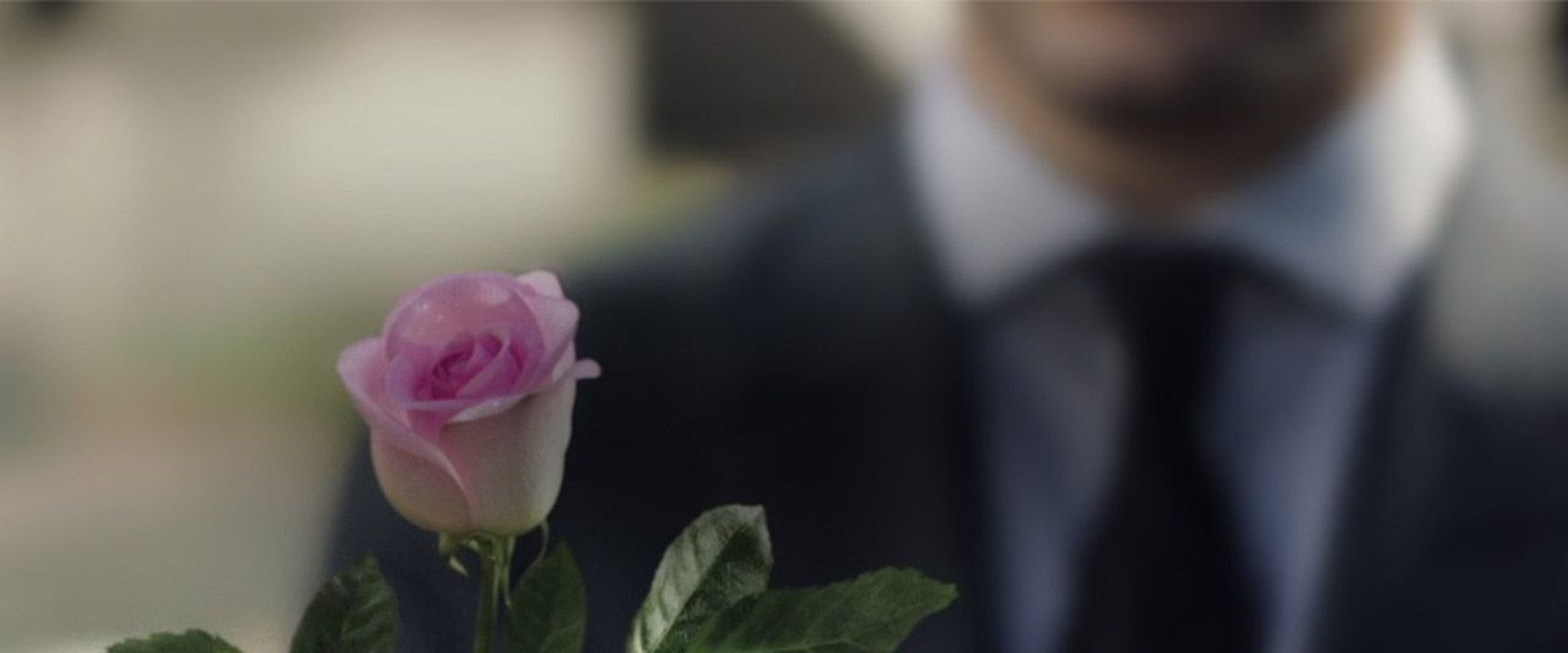 A Rose Reborn backdrop