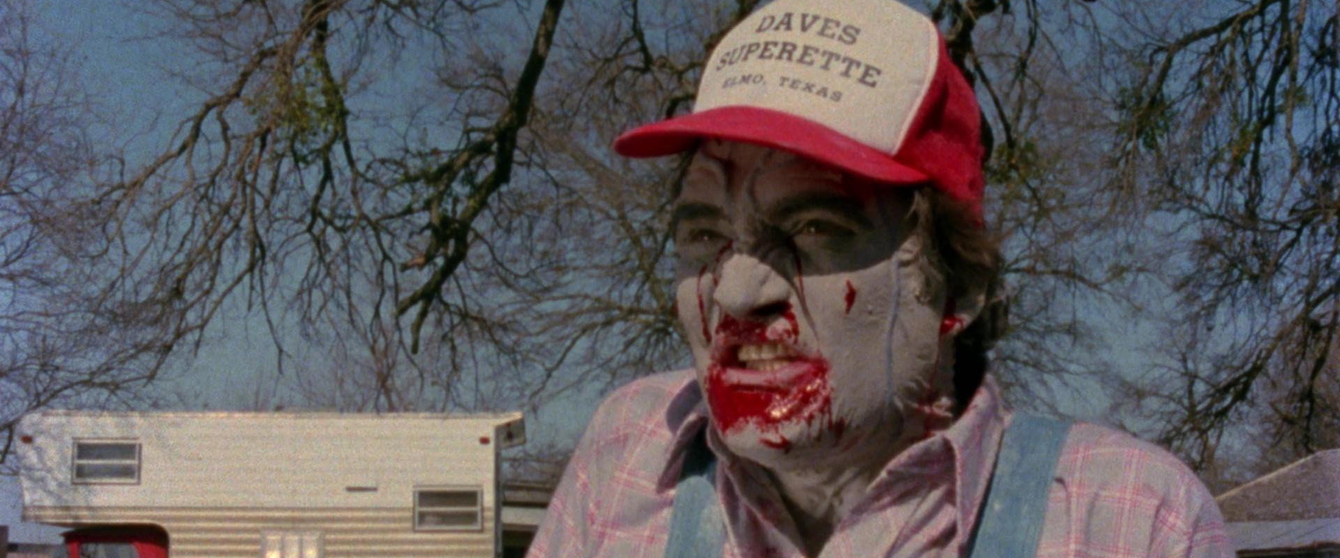 Bloodsuckers from Outer Space backdrop