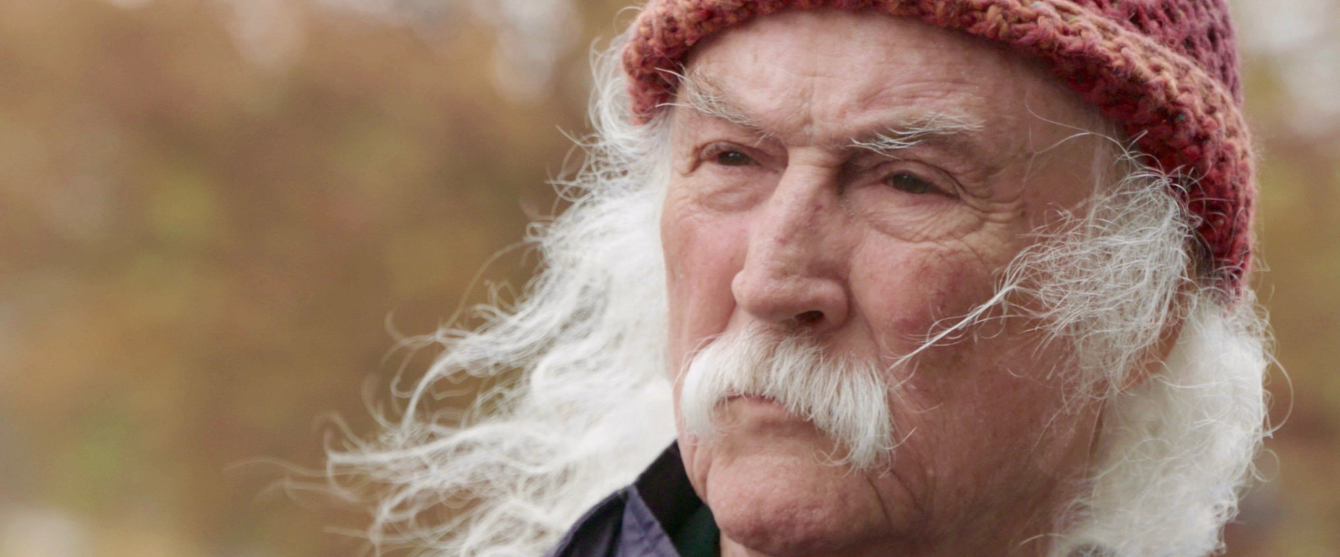 David Crosby: Remember My Name backdrop