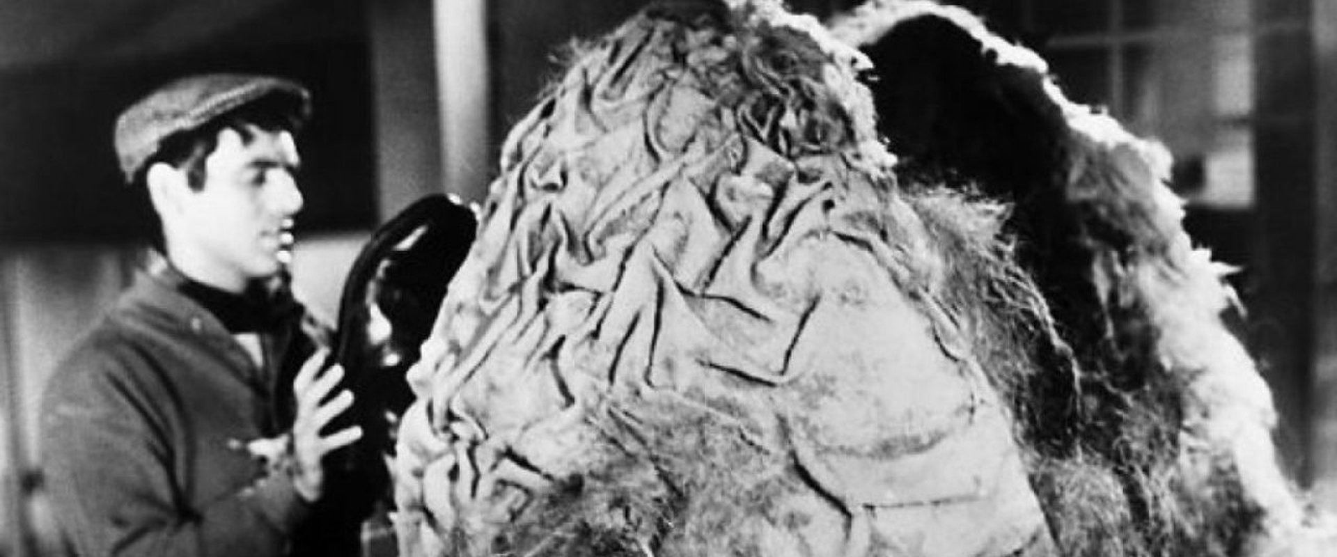 The Little Shop of Horrors