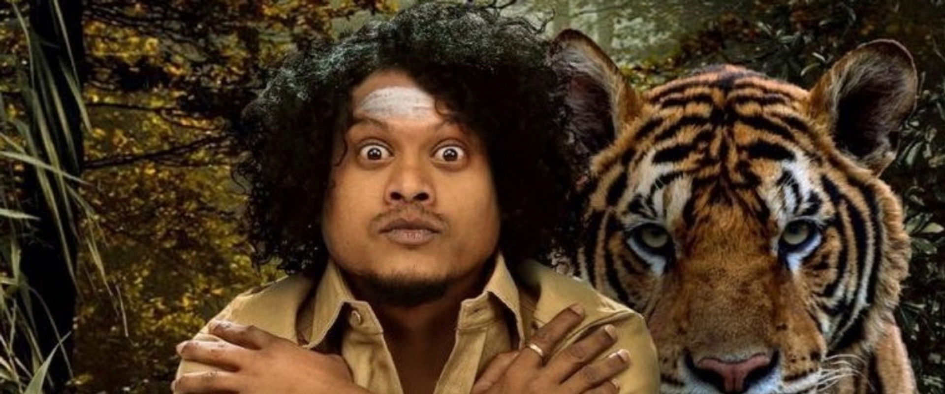 Mr. Zoo Keeper backdrop