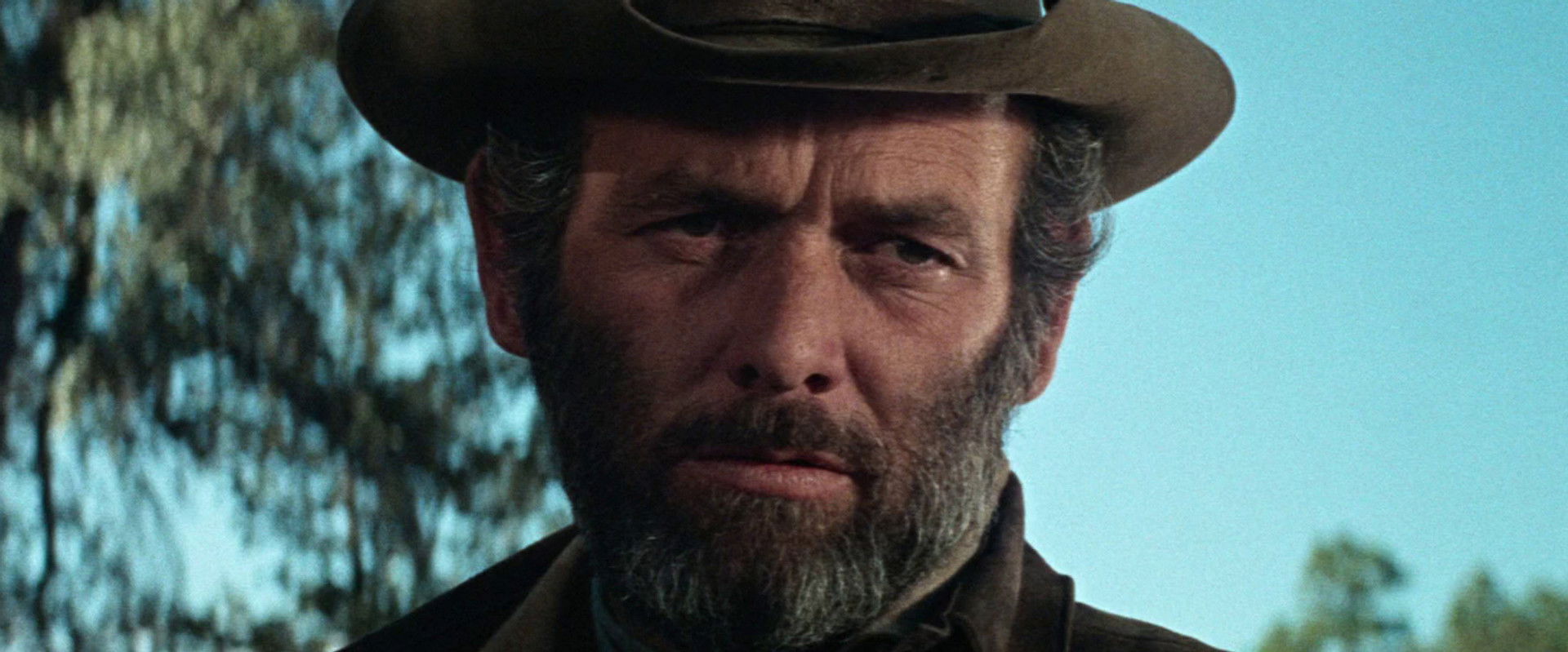 Macho Callahan backdrop