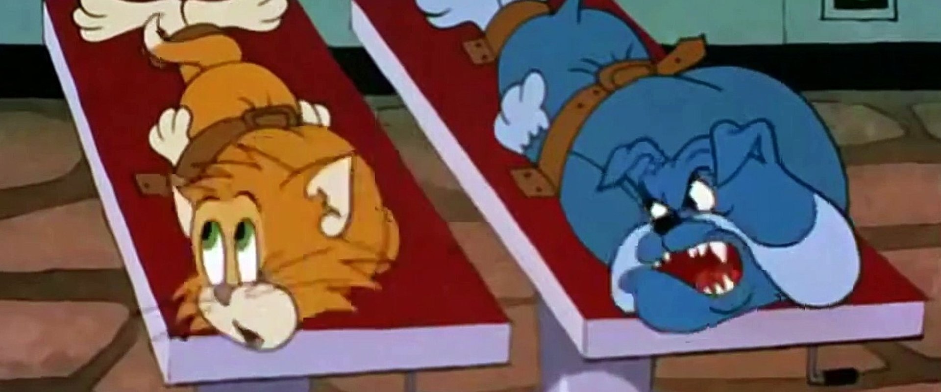 Switchin' Kitten