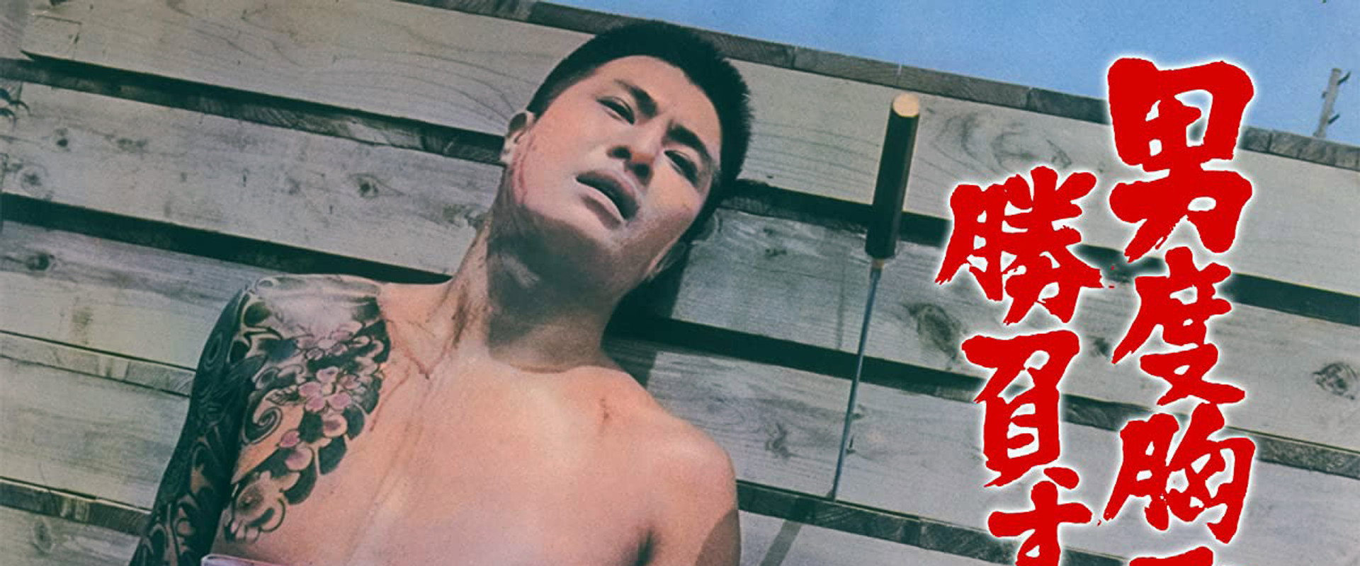 Nerves for Victory backdrop