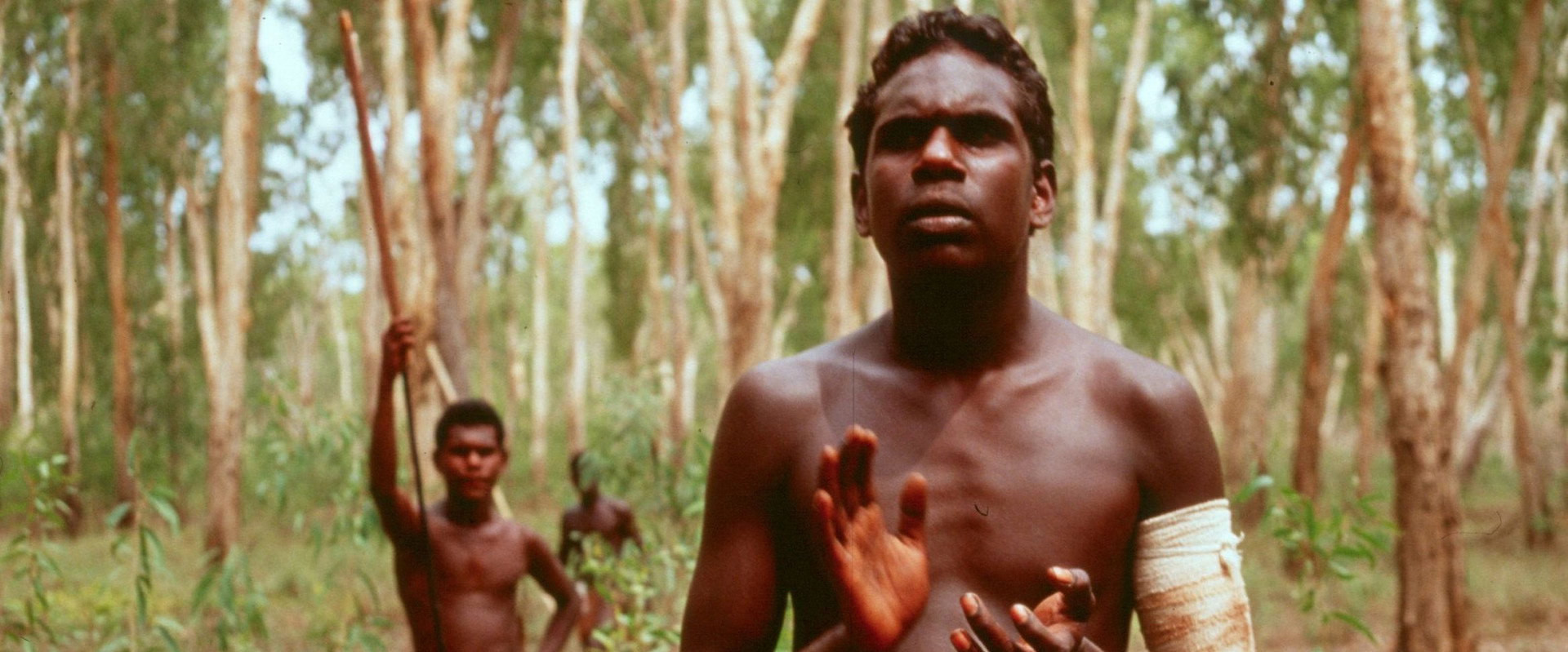 Yolngu Boy backdrop