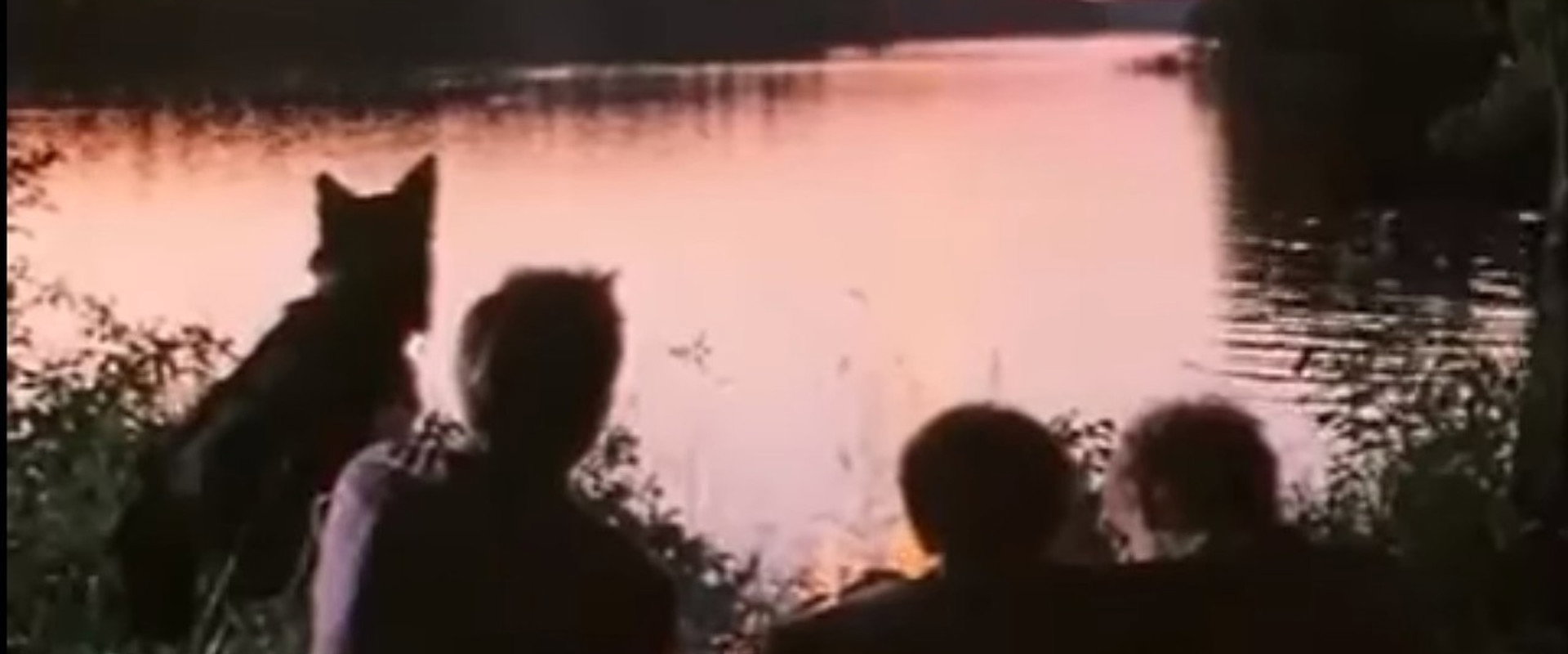 The Poacher Hunter backdrop