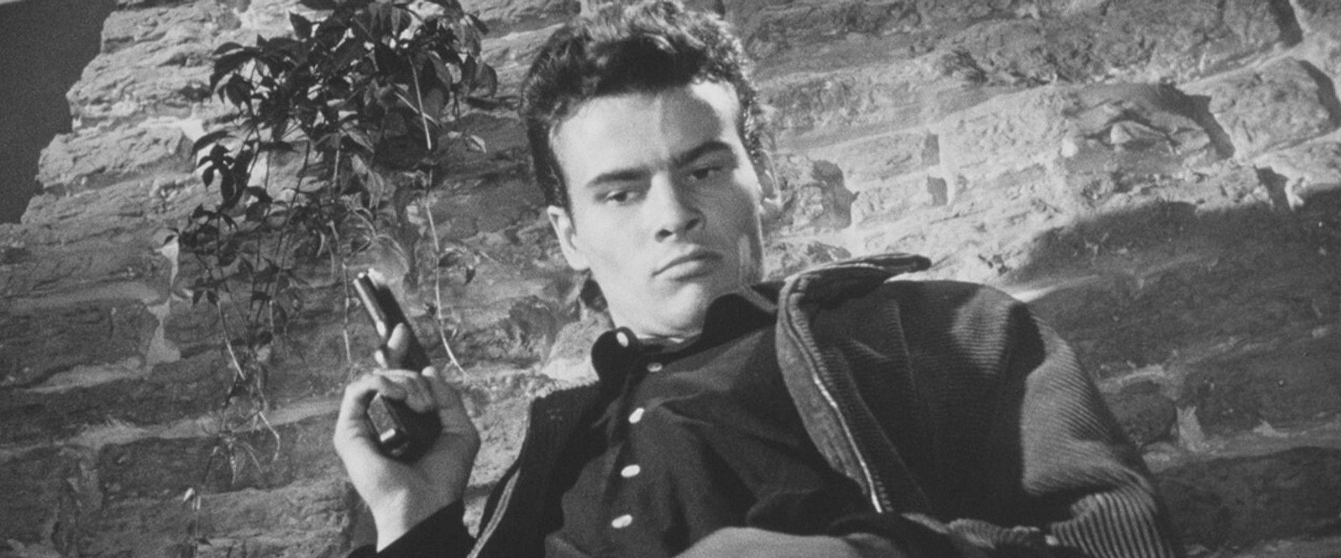 Teenage Wolfpack backdrop