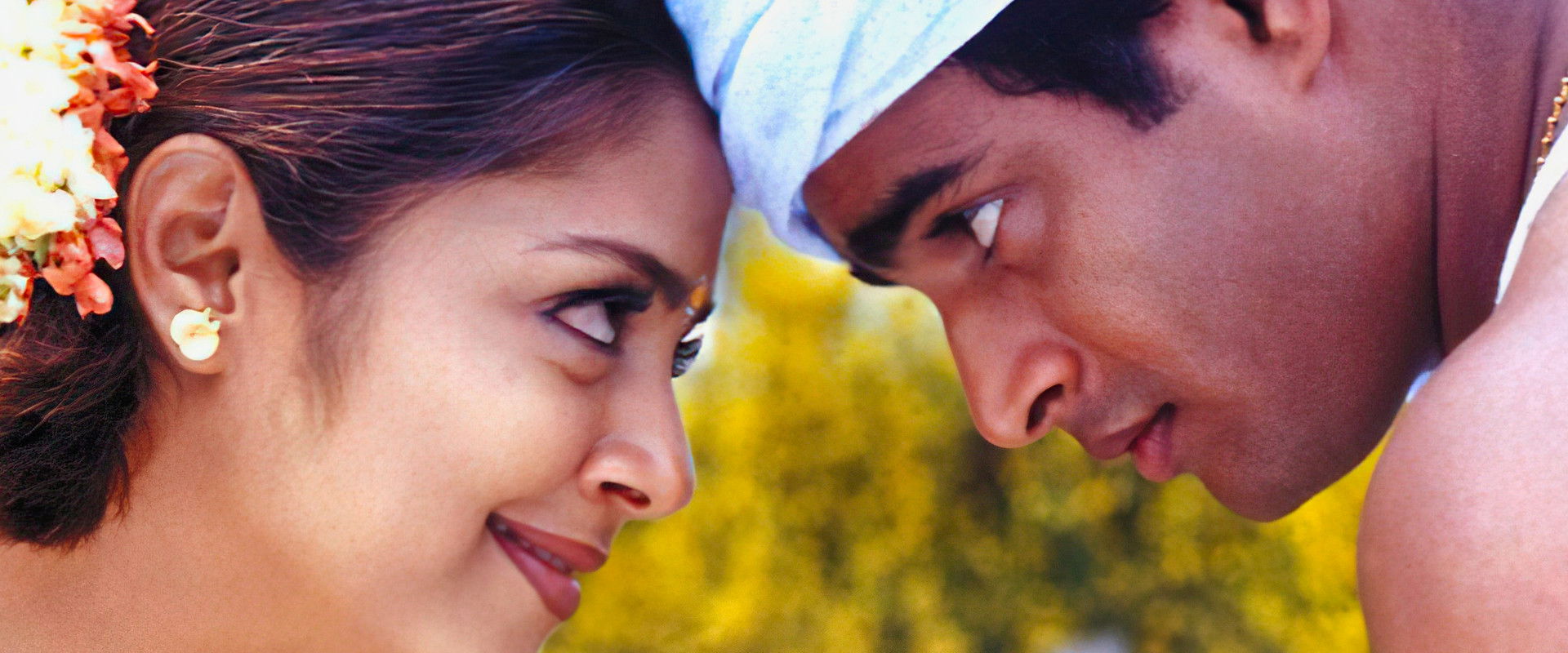 Dum Dum Dum backdrop