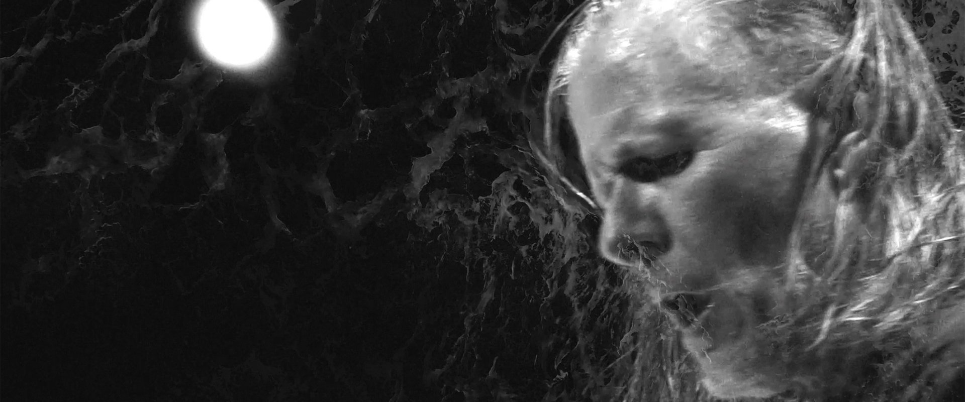Swans: Where Does a Body End?