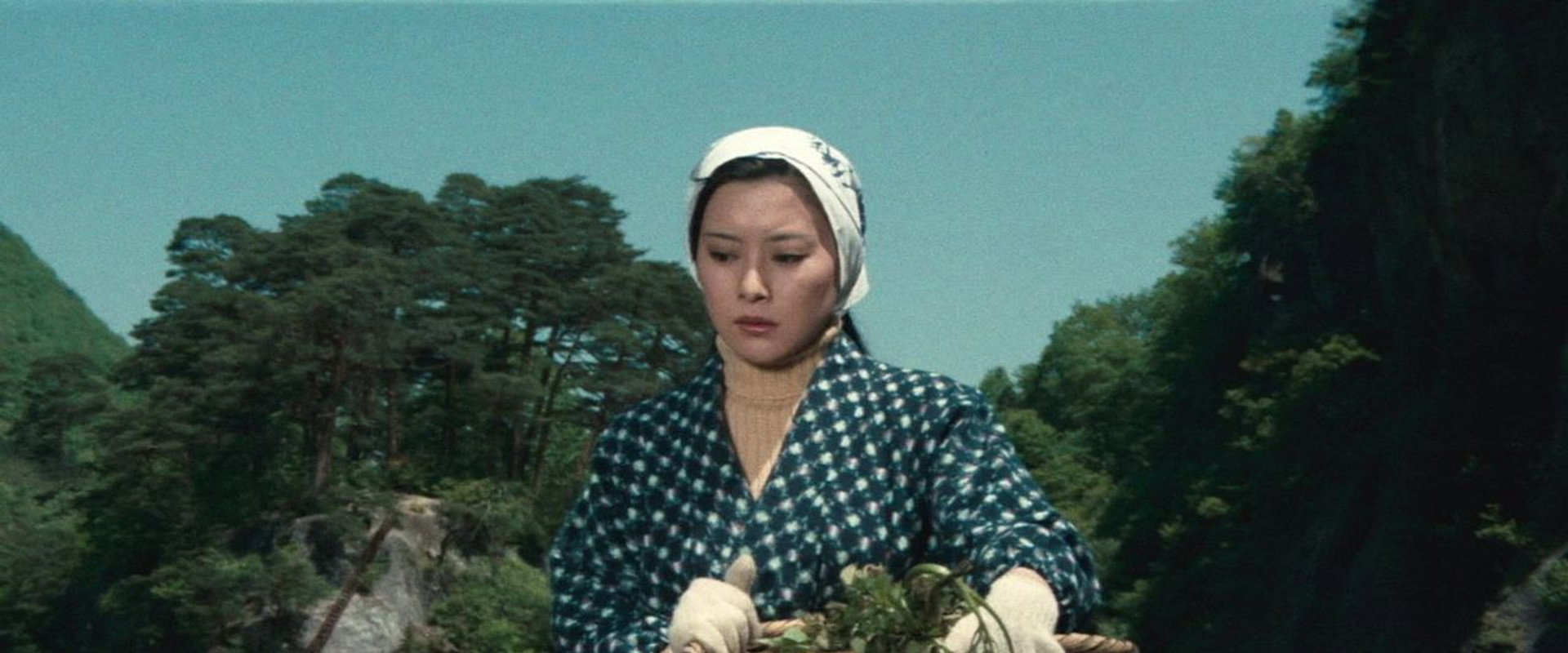 Curse of the Dog God backdrop