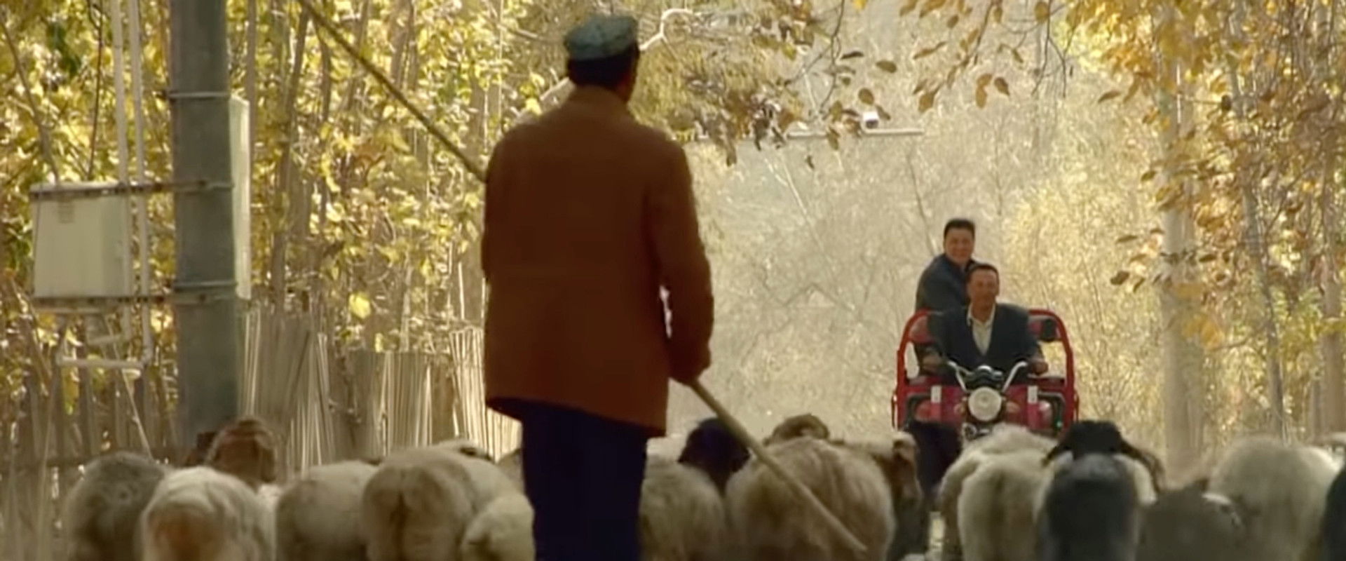 昆仑兄弟 backdrop