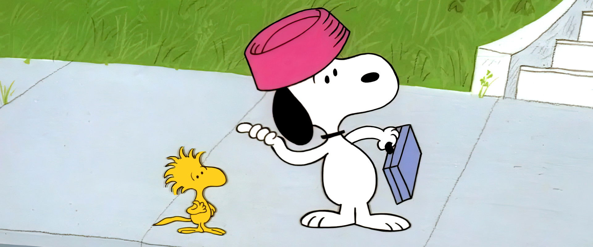 Snoopy, Come Home backdrop