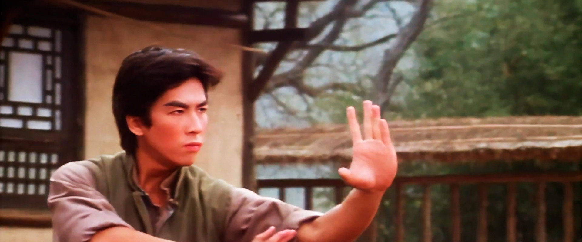 Drunken Tai Chi backdrop