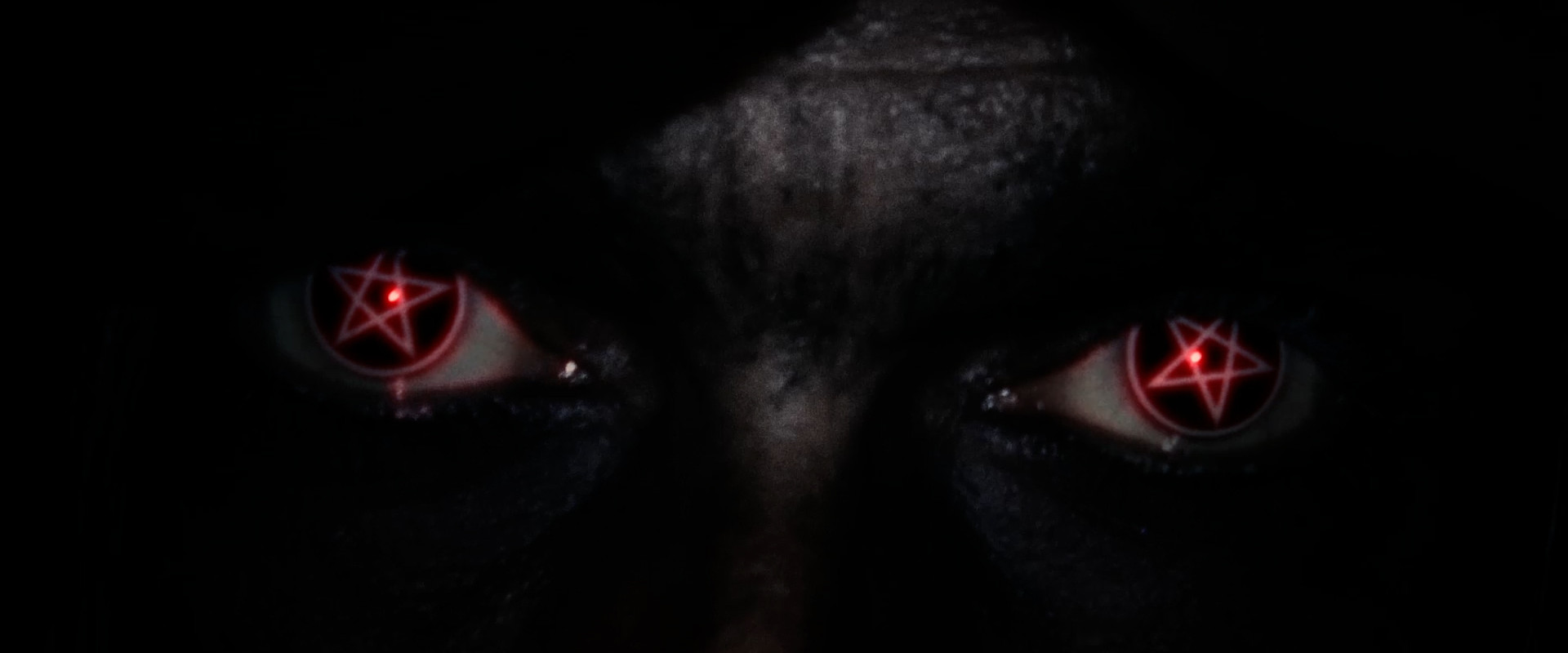 The Salamander House backdrop