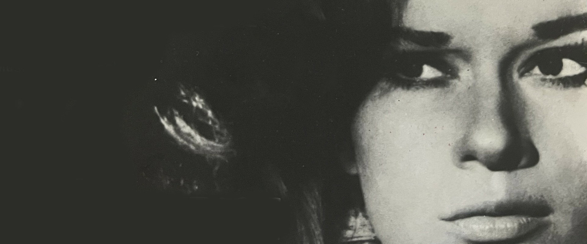 Dreams Die at Dawn backdrop