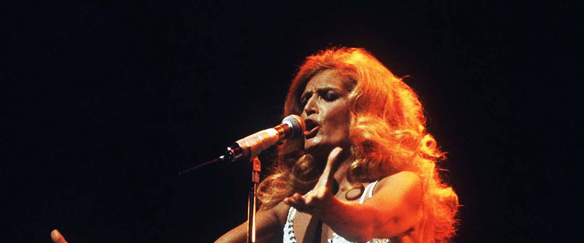 Dalida - Québec backdrop