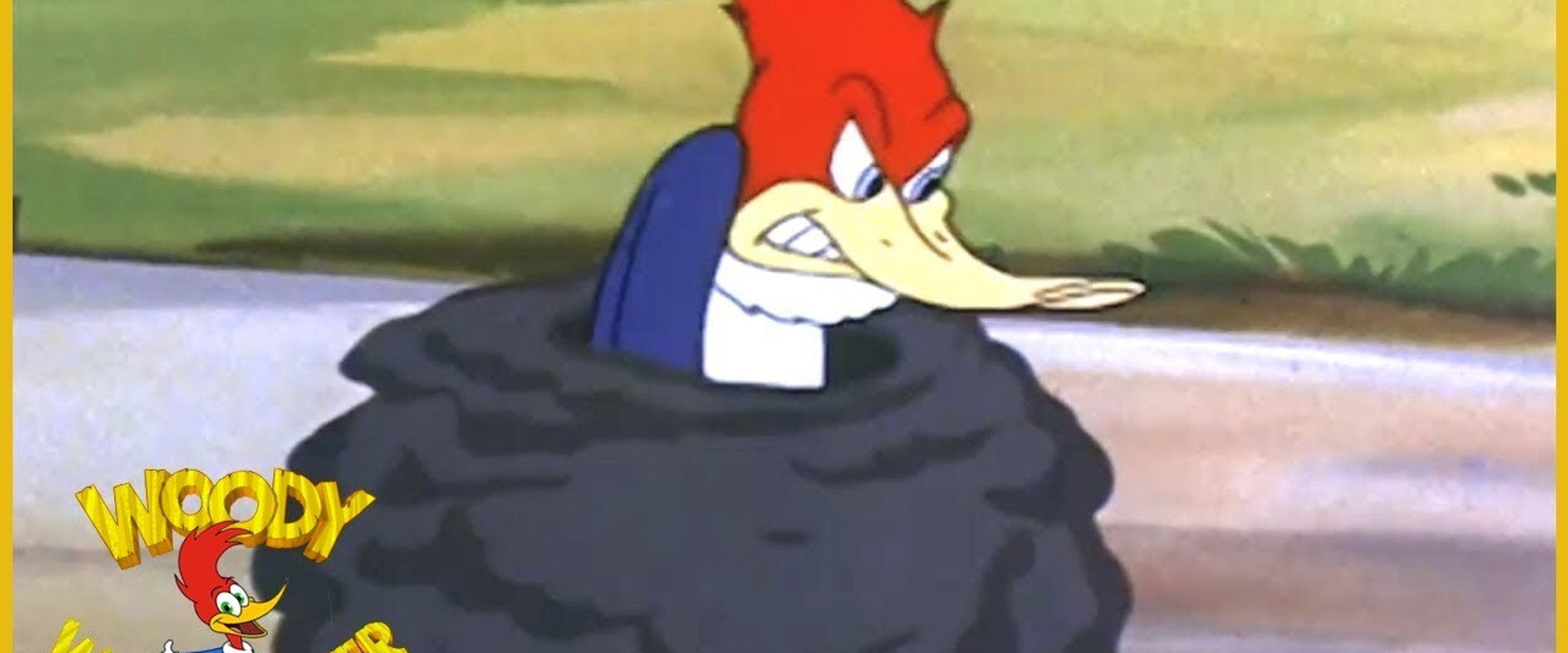 The Loose Nut backdrop