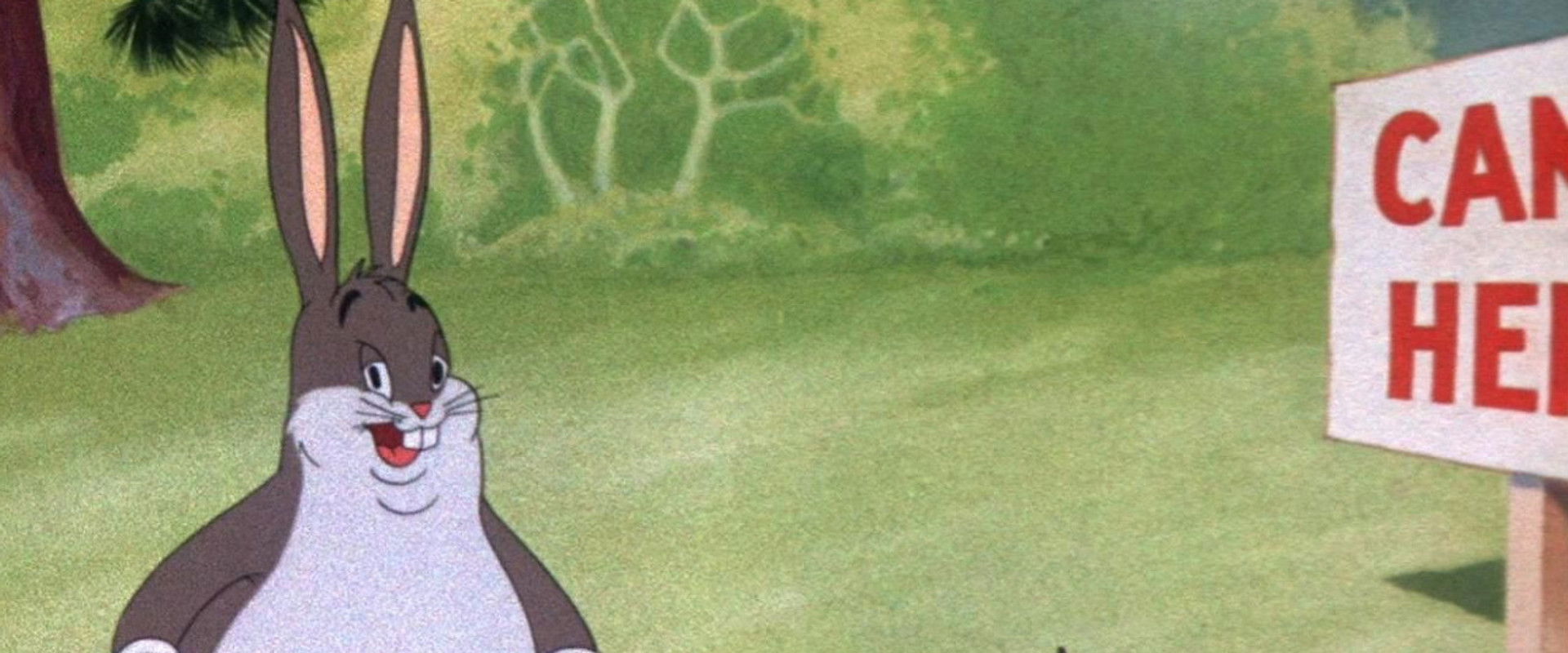 Wabbit Twouble backdrop