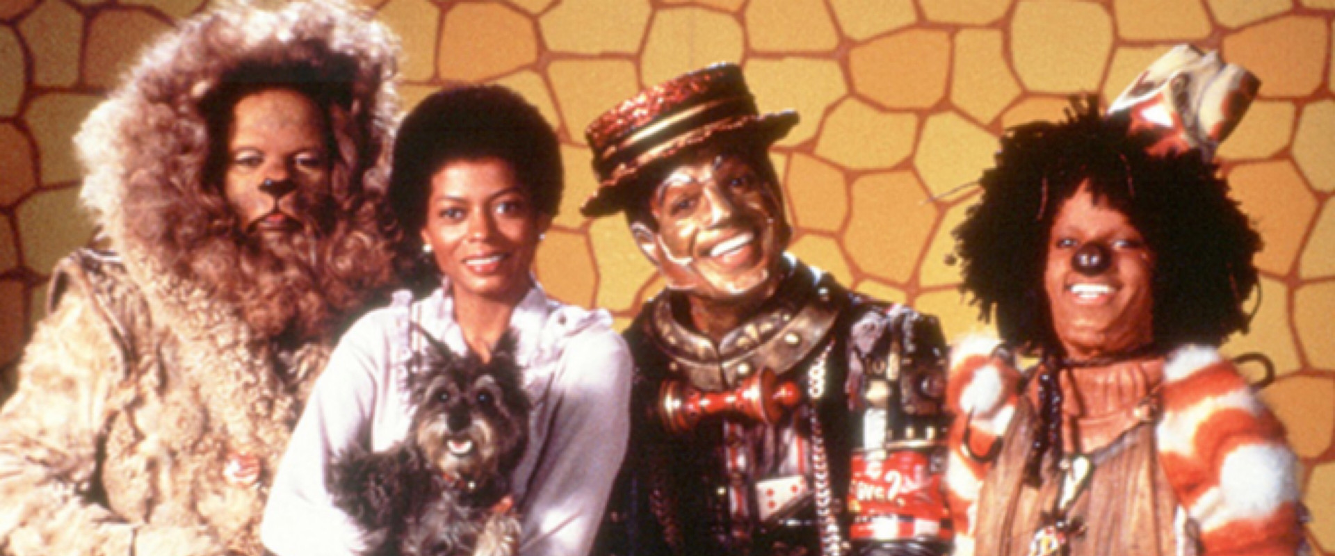 Wiz on Down the Road backdrop