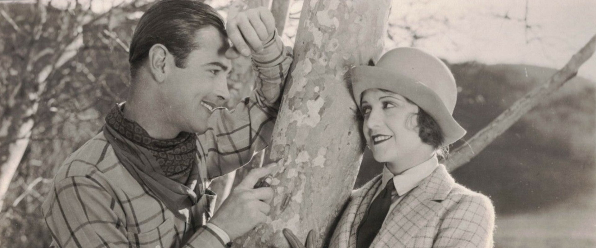 Wild Beauty backdrop