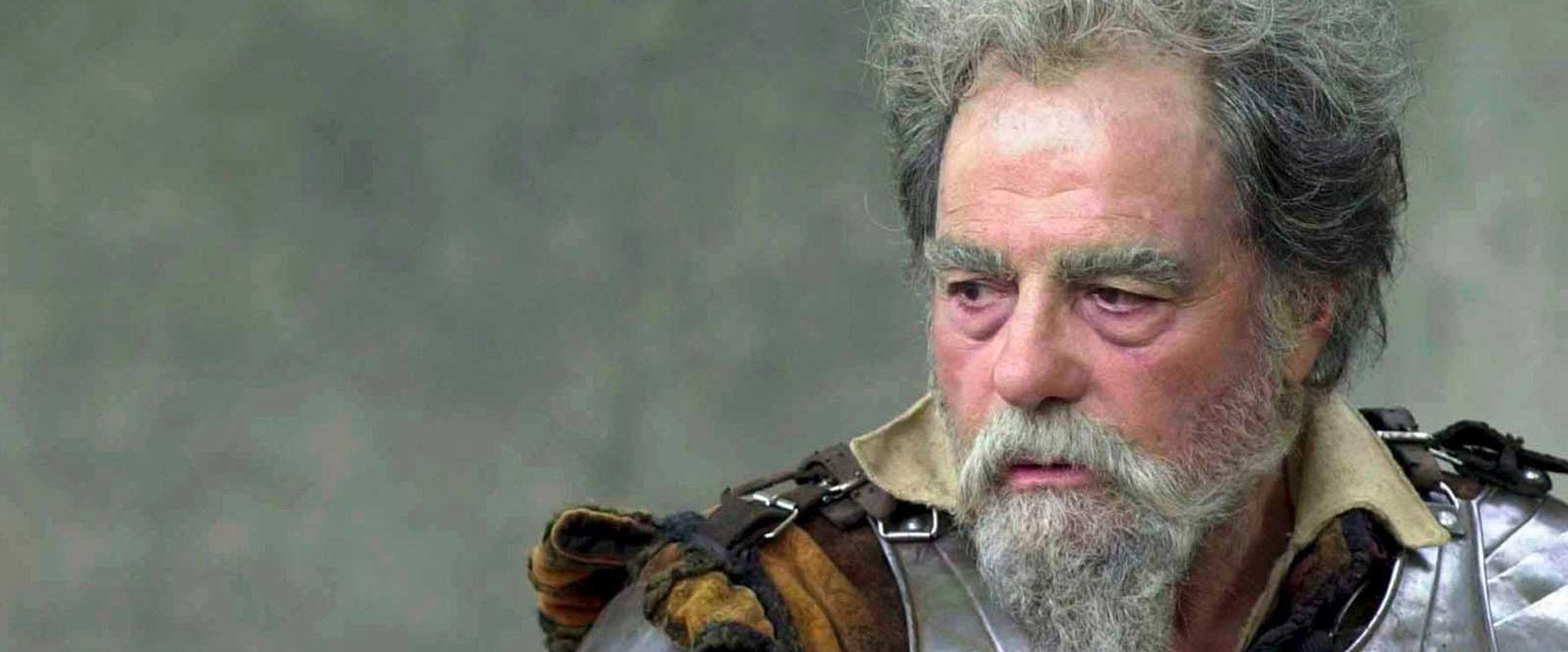 Don Quixote, Knight Errant backdrop