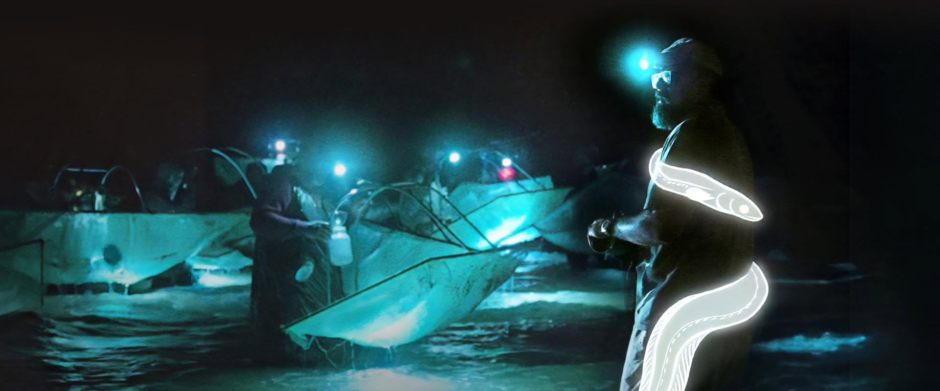 Million Dollar Babies: The Big Business Behind Eel Trafficking backdrop