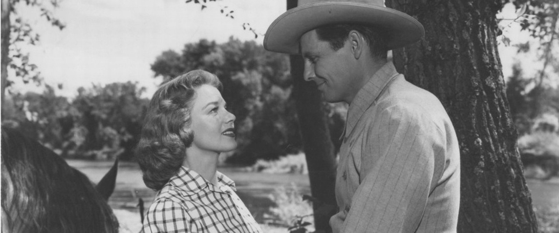 Last of the Wild Horses backdrop