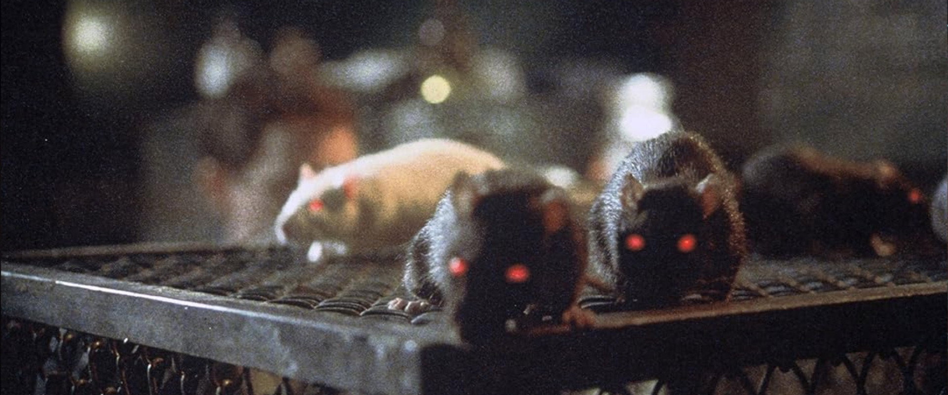 Rats backdrop