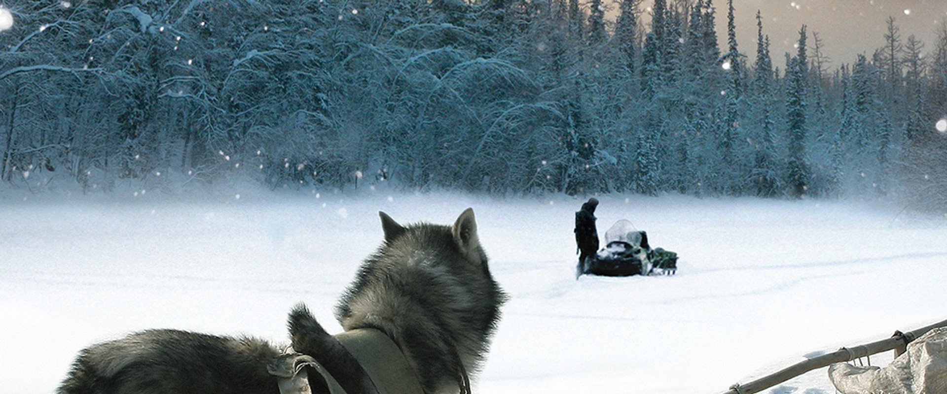 Happy People: A Year in the Taiga backdrop
