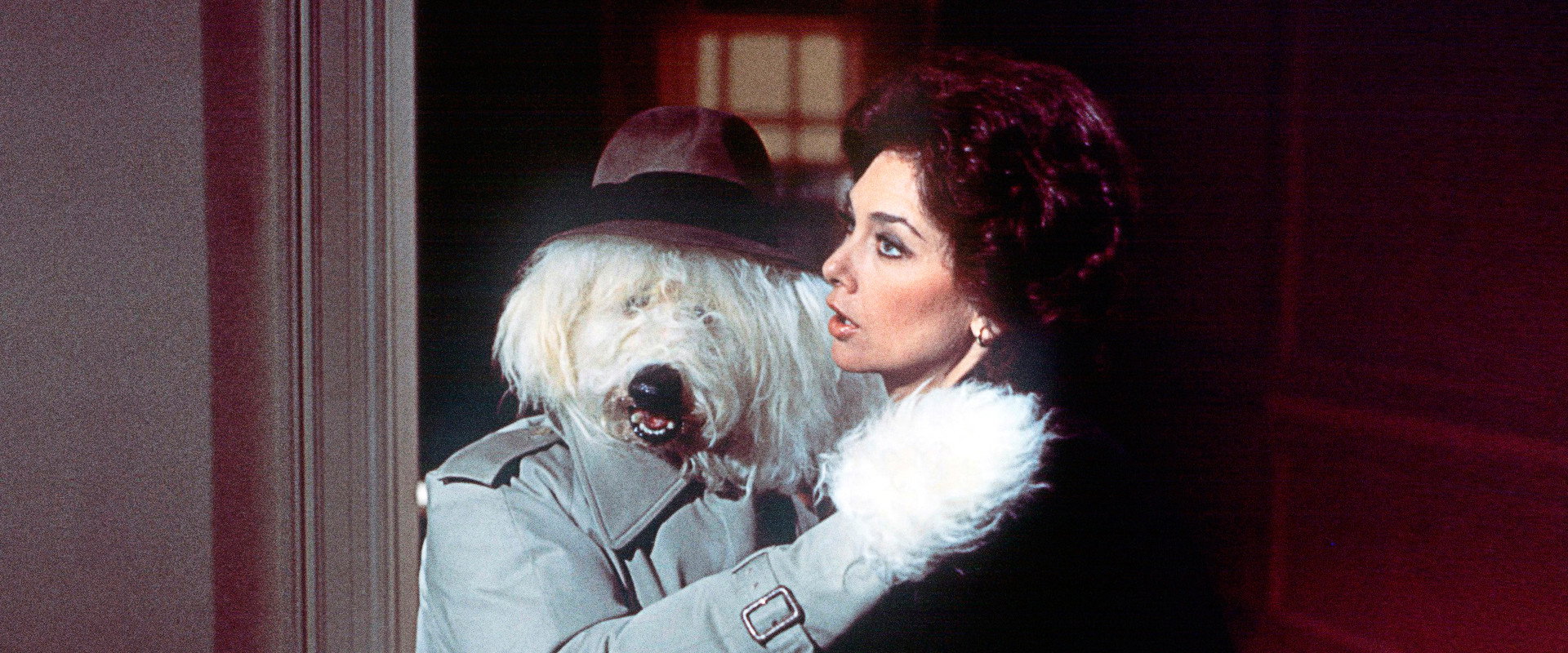 The Shaggy D.A. backdrop