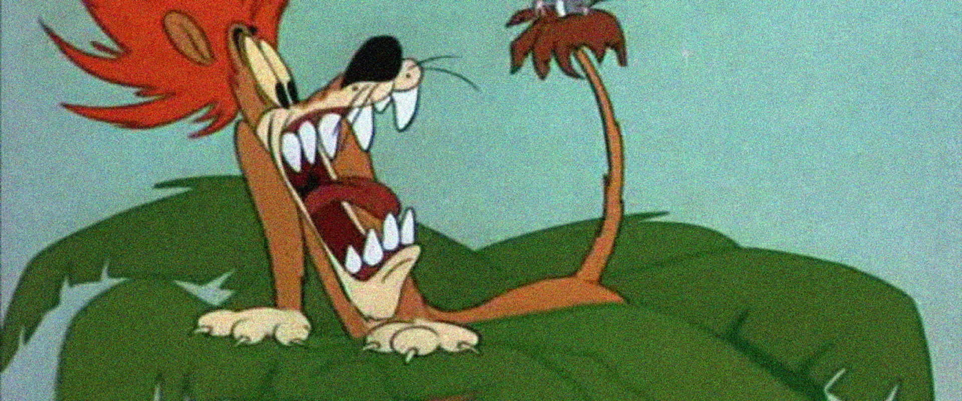 Slap Happy Lion backdrop