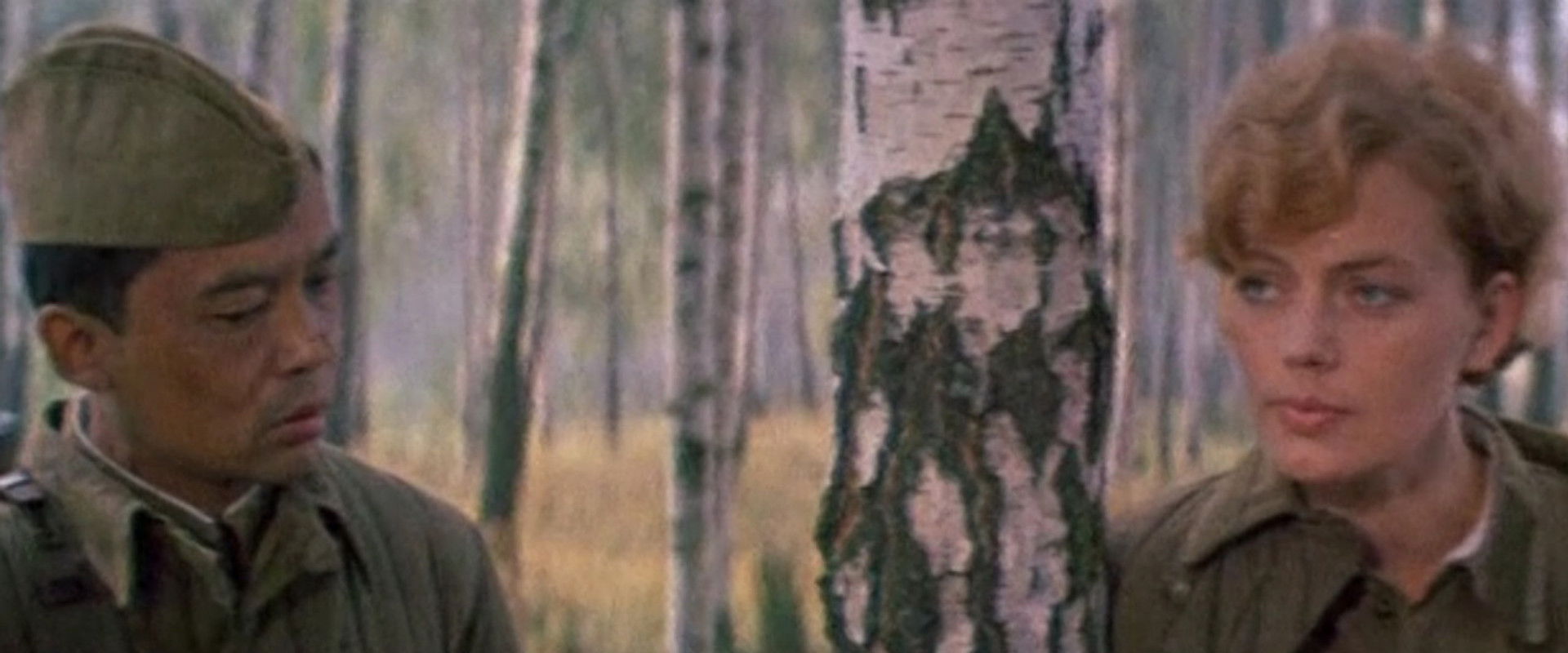 A Secret Walk in the Woods backdrop