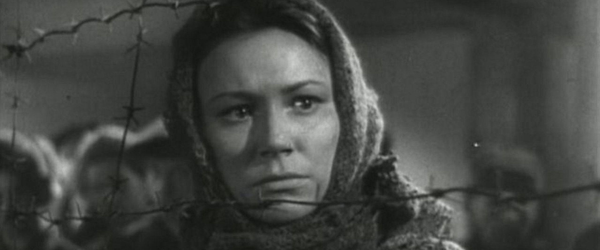 Konstantin Zaslonov backdrop