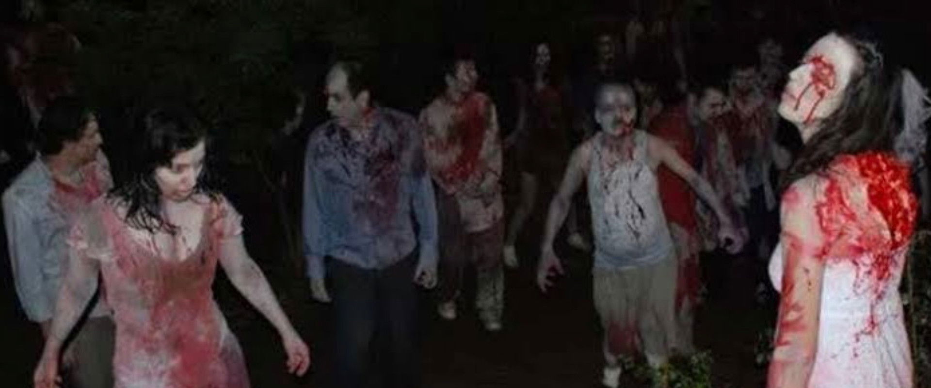 Island: Wedding of the Zombies backdrop