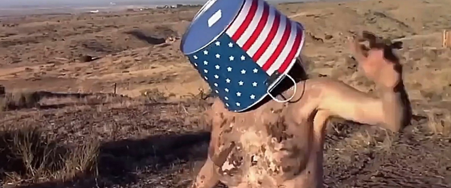 The Great American Mud Wrestle backdrop