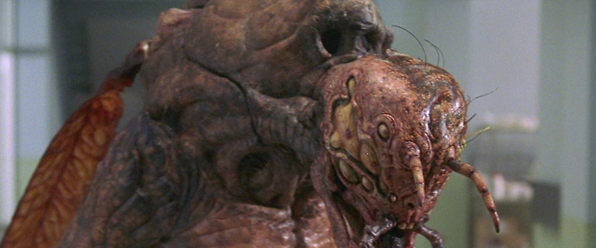 Mosquito Man backdrop