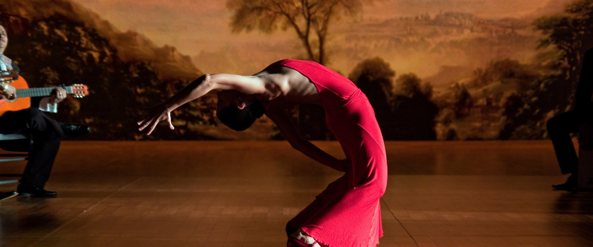 Flamenco Flamenco backdrop