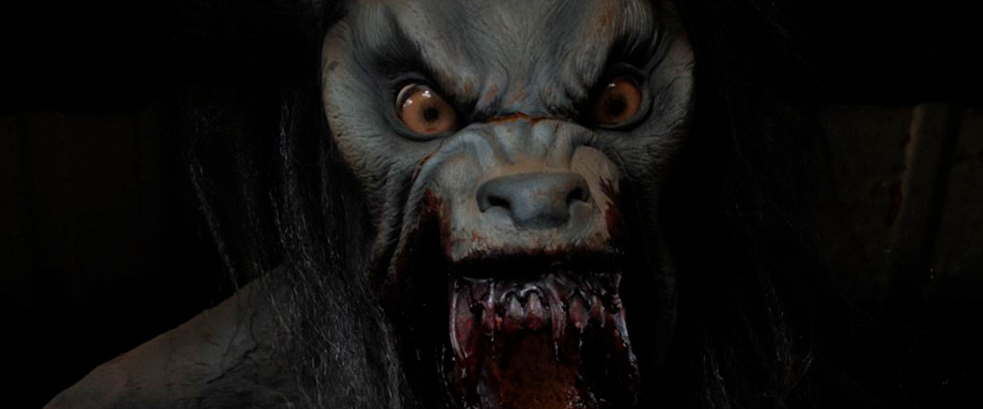 Autumn Road backdrop