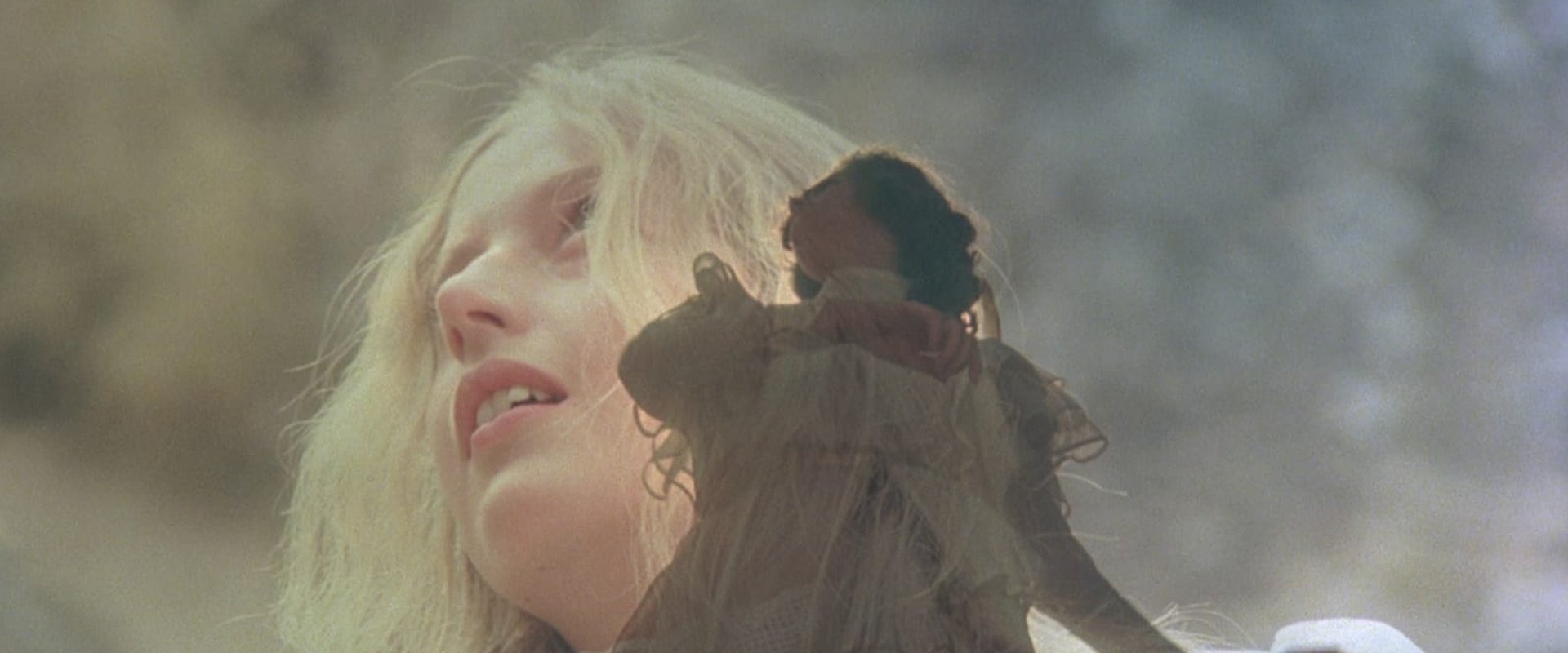 Picnic at Hanging Rock backdrop