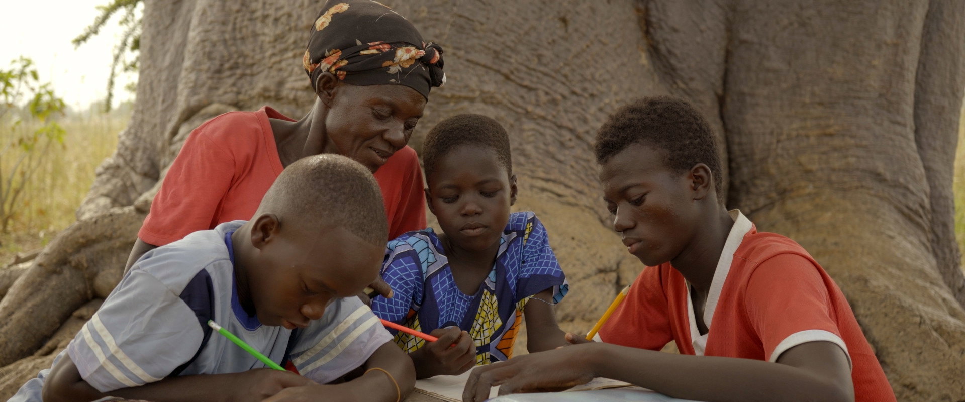 The Forest Maker backdrop