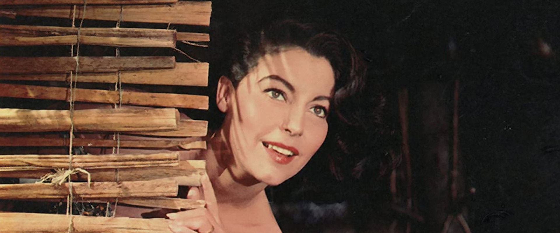 The Little Hut backdrop