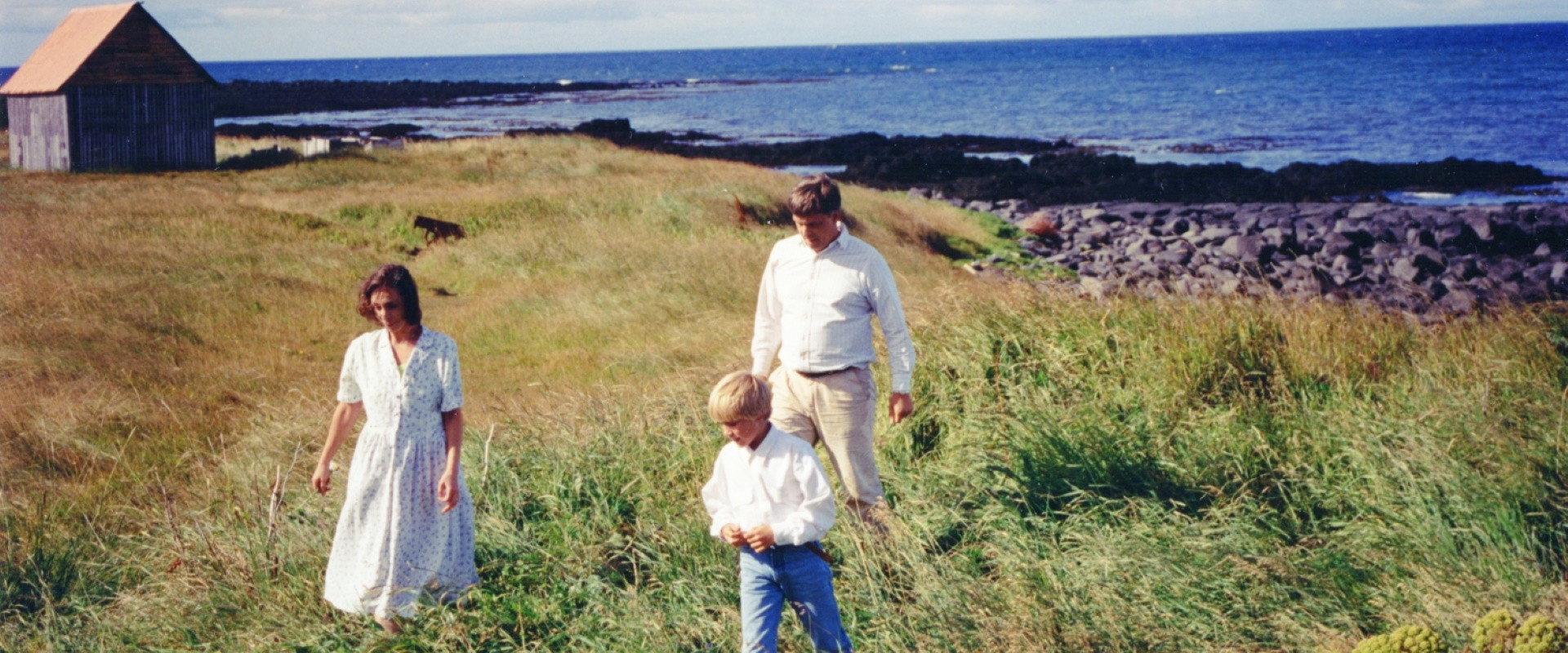 The Sky Palace backdrop