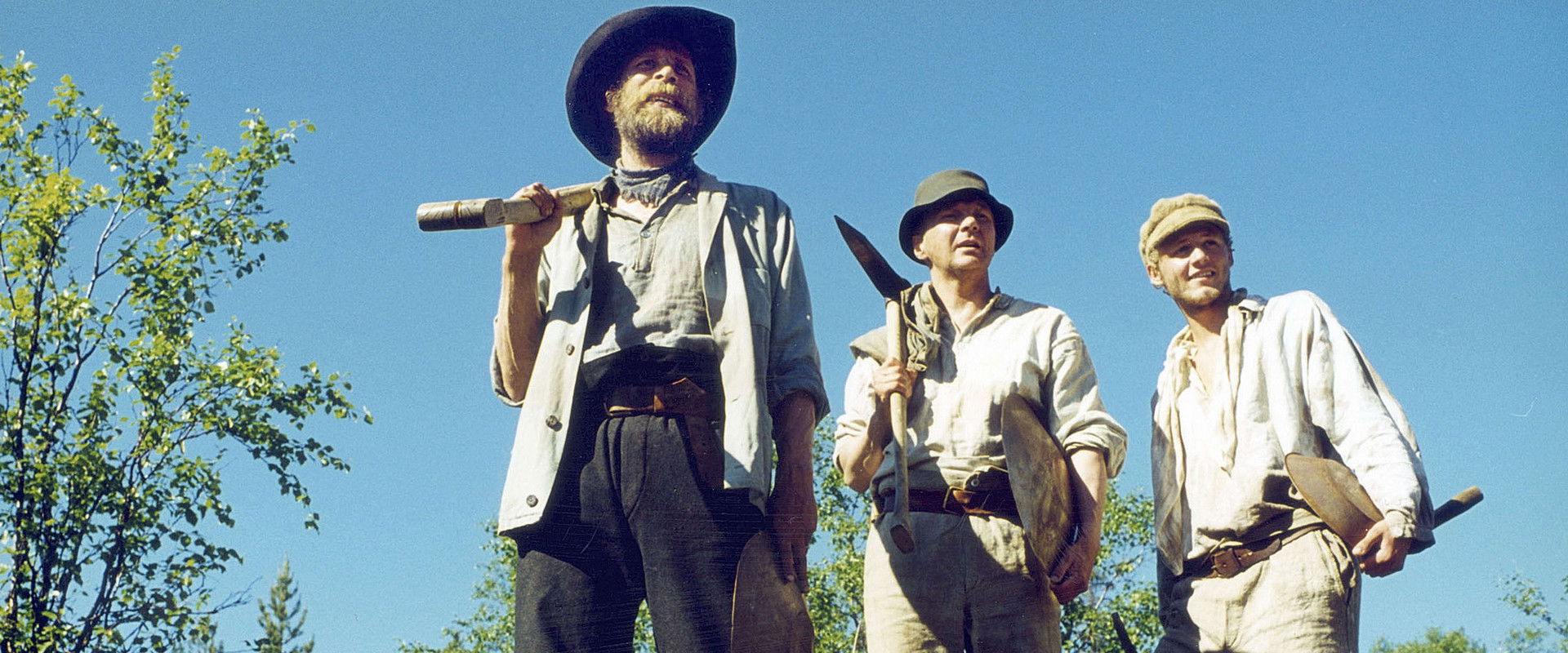 Lapin kullan kimallus backdrop