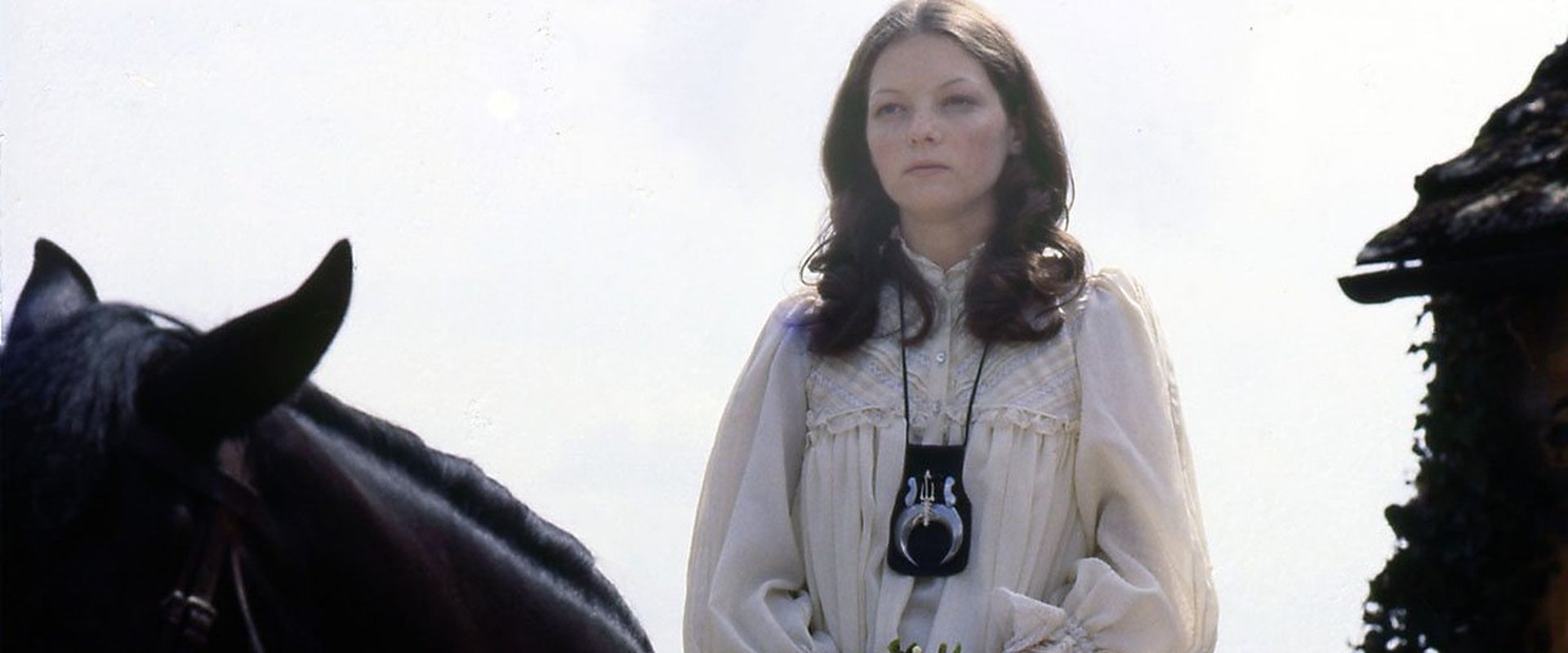 The Moon Stallion